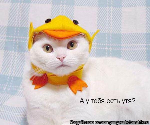 Котоматрица: А у тебя есть утя?