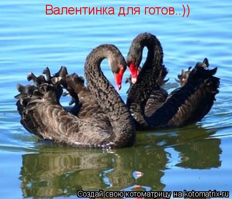Котоматрица: Валентинка для готов..))
