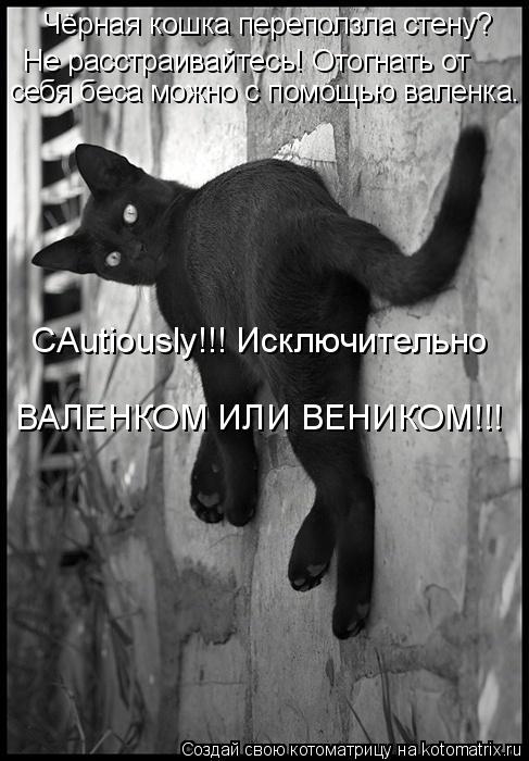 Котоматрица: Чёрная кошка переползла стену? Не расстраивайтесь! Отогнать от себя беса можно с помощью валенка. CAutiously!!! Исключительно ВАЛЕНКОМ ИЛИ ВЕНИК