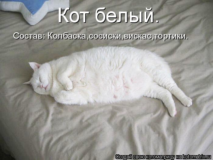 Кот белый. Состав: Колбаска,сосиски,вискас,тортики.... Котоматрица: Кот белый. Состав: Колбаска,сосиски,вискас,тортики.