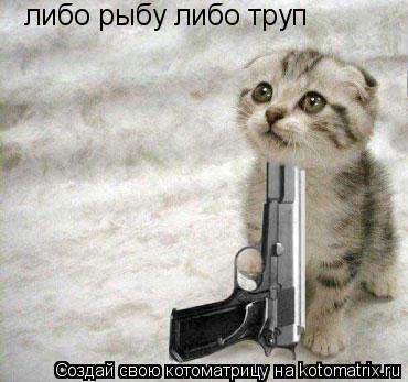 Котоматрица: либо рыбу либо труп