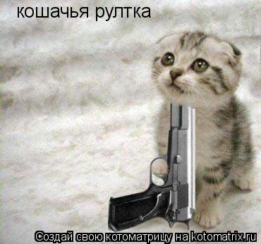 Котоматрица: кошачья рултка