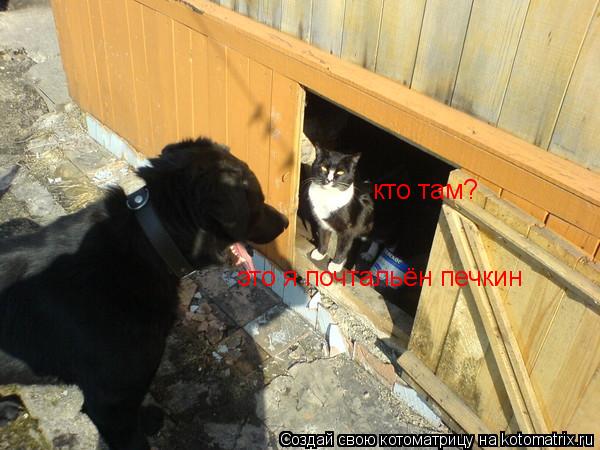 Котоматрица: кто там? это я почтальён печкин