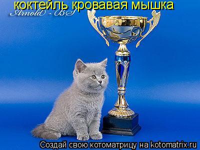 Котоматрица: коктейль кровавая мышка