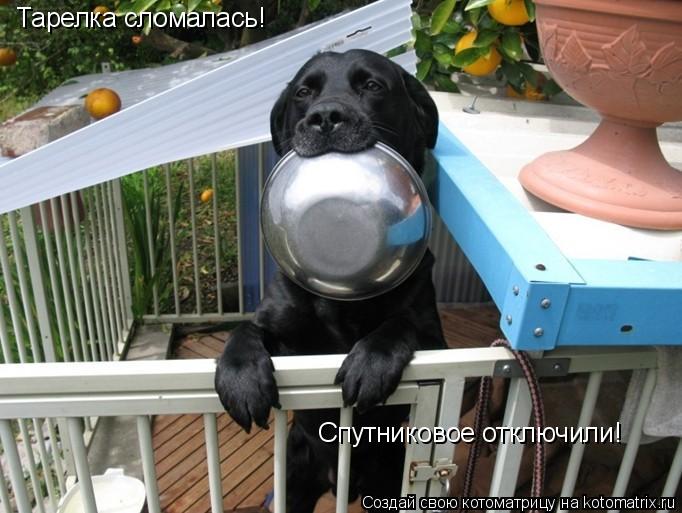 Котоматрица: Тарелка сломалась! Спутниковое отключили!