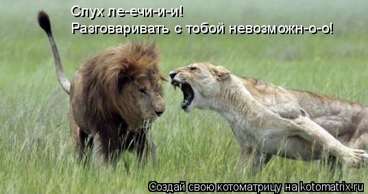 Слух ле-ечи-и-и! Разговаривать с тобой невозможн-о-о!... Котоматрица: Слух ле-ечи-и-и! Разговаривать с тобой невозможн-о-о!