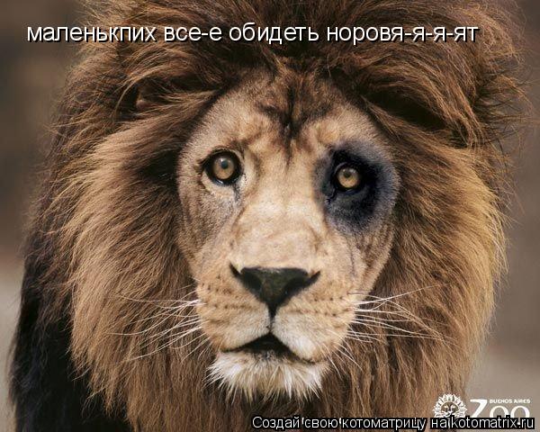 маленькпих все-е обидеть норовя-я-я-ят... Котоматрица: маленькпих все-е обидеть норовя-я-я-ят
