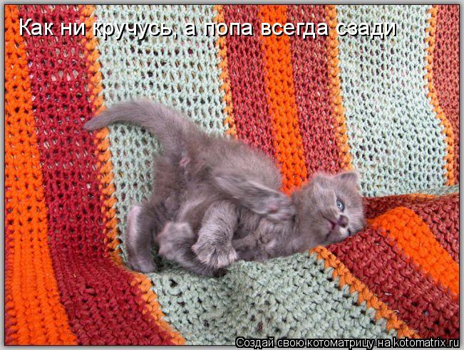 Как ни кручусь, а попа всегда сзади... Котоматрица: Как ни кручусь, а попа всегда сзади