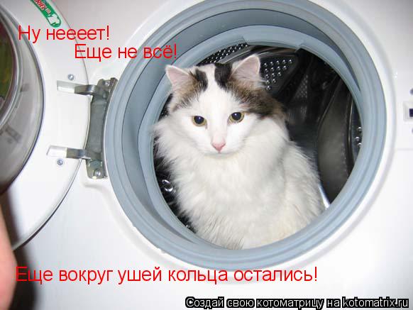Ну неееет! Еще не всё! Еще вокруг ушей кольца остались!... Котоматрица: Ну неееет! Еще не всё! Еще вокруг ушей кольца остались!