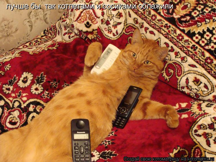 лучше бы так котлетами и сосиками облажили... Котоматрица: лучше бы так котлетами и сосиками облажили