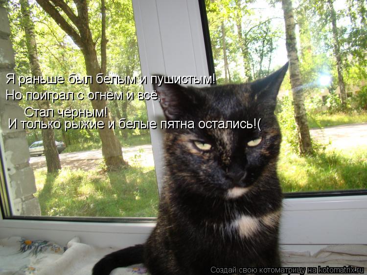 Я раньше был белым и пушистым! Но поиграл с огнём и всё, Стал чёрным! И только рыжие и белые пятна ос... Котоматрица: Я раньше был белым и пушистым! Но поиграл с огнём и всё, Стал чёрным! И только рыжие и белые пятна остались!(
