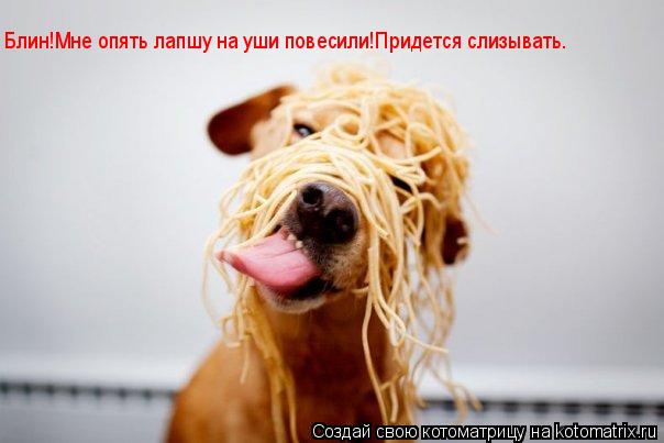 Блин!Мне опять лапшу на уши повесили!Придется слизывать.... Котоматрица: Блин!Мне опять лапшу на уши повесили!Придется слизывать.