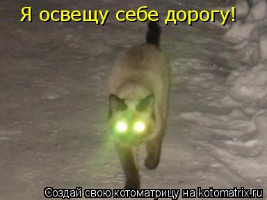 Я освещу себе дорогу!... Котоматрица: Я освещу себе дорогу!