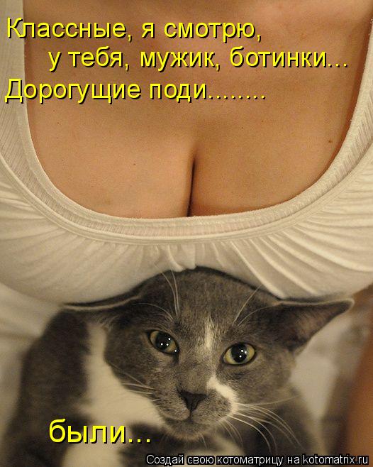 Котоматрица: Классные, я смотрю, у тебя, мужик, ботинки... Дорогущие поди........ были...