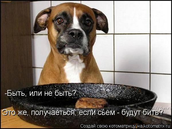 -Быть, или не быть? Это же, получаеться, если сьем - будут бить?... Котоматрица: -Быть, или не быть? Это же, получаеться, если сьем - будут бить?