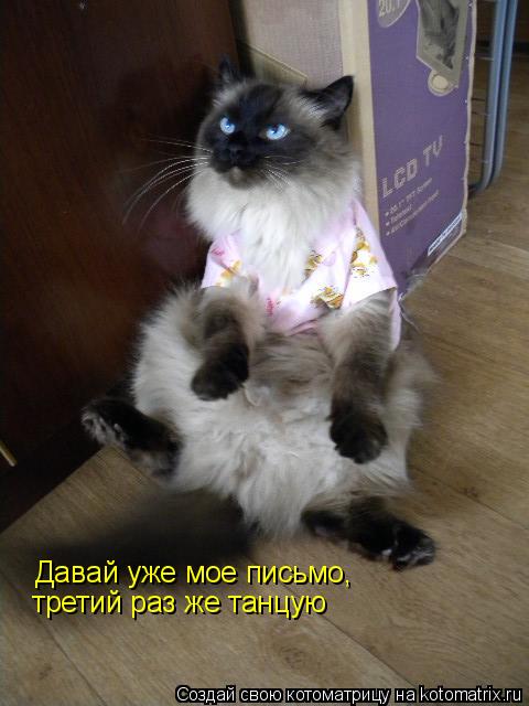 Давай уже мое письмо, третий раз же танцую... Котоматрица: Давай уже мое письмо, третий раз же танцую