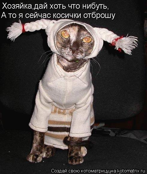 Хозяйка,дай хоть что нибуть, А то я сейчас косички отброшу... Котоматрица: Хозяйка,дай хоть что нибуть, А то я сейчас косички отброшу