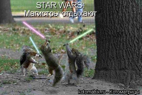 STAR WARS: Магистры отдыхают... Котоматрица: STAR WARS: Магистры отдыхают