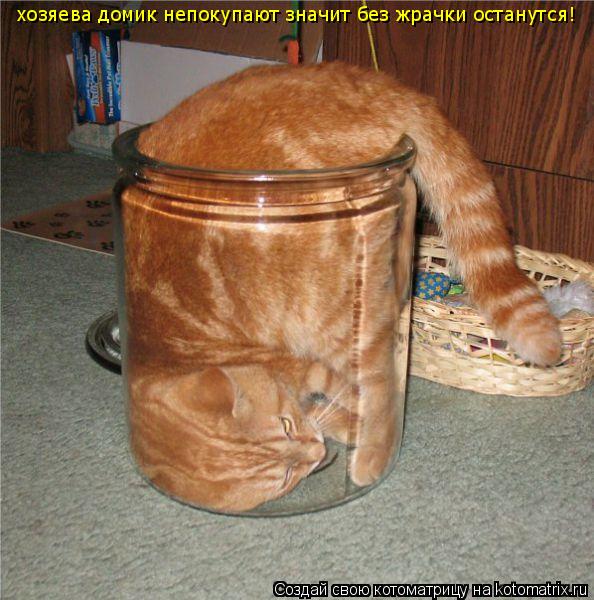 хозяева домик непокупают значит без жрачки останутся!... Котоматрица: хозяева домик непокупают значит без жрачки останутся!