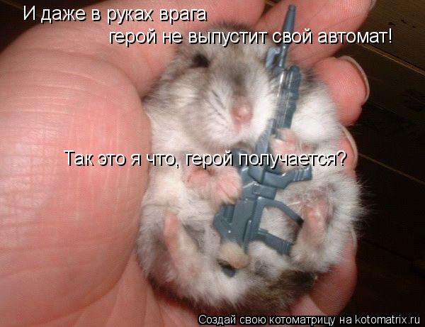 И даже в руках врага герой не выпустит свой автомат! Так это я что, герой получается?... Котоматрица: И даже в руках врага герой не выпустит свой автомат! Так это я что, герой получается?