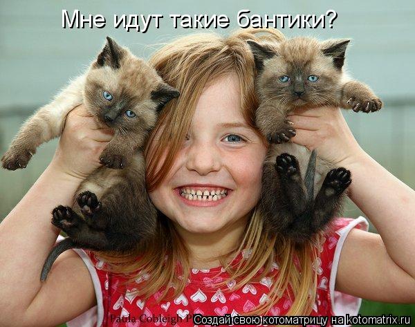 Мне идут такие бантики?... Котоматрица: Мне идут такие бантики?