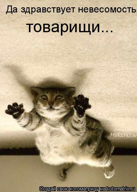 Да здравствует невесомость товарищи...... Котоматрица: Да здравствует невесомость товарищи...