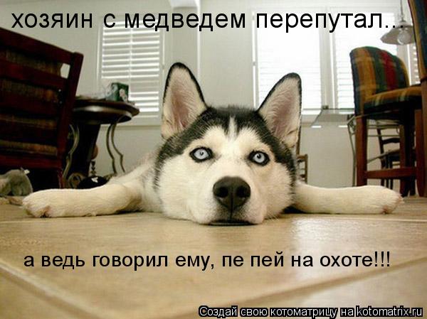 хозяин с медведем перепутал... а ведь говорил ему, пе пей на охоте!!!... Котоматрица: хозяин с медведем перепутал... а ведь говорил ему, пе пей на охоте!!!