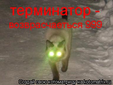 Котоматрица: терминатор -  возврасчаеться 999