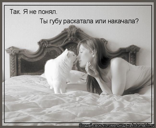 Котоматрица: Так. Я не понял. Ты губу раскатала или накачала?