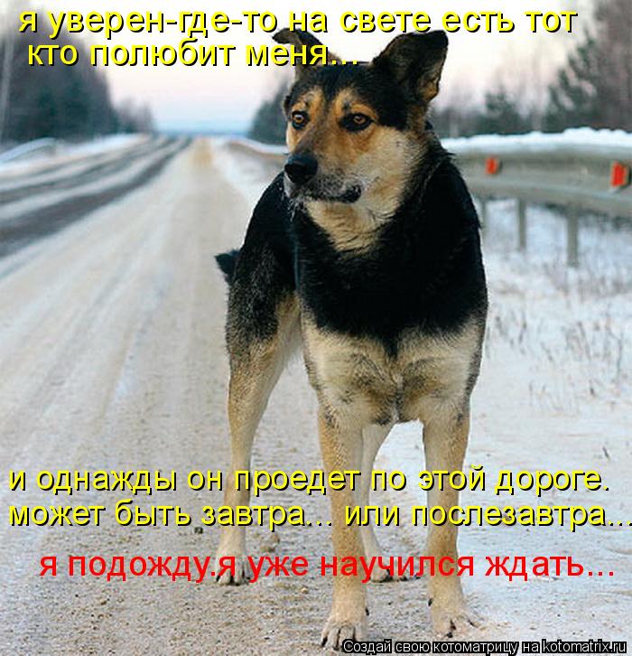 я уверен-где-то на свете есть тот кто полюбит меня... и однажды он проедет по этой дороге. может быть... Котоматрица: я уверен-где-то на свете есть тот кто полюбит меня... и однажды он проедет по этой дороге. может быть завтра... или послезавтра... я подожду.я уж