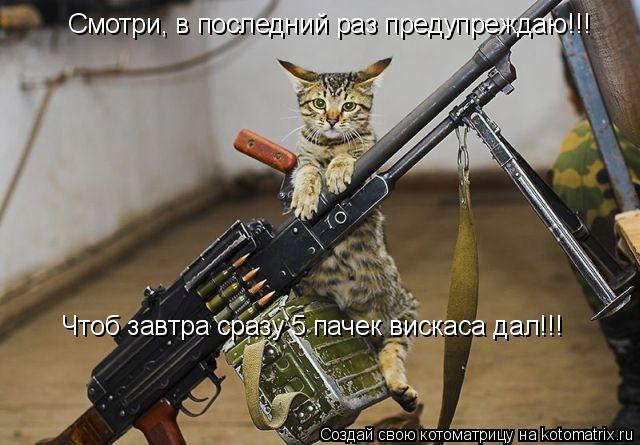 Котоматрица: Смотри, в последний раз предупреждаю!!! Чтоб завтра сразу 5 пачек вискаса дал!!!