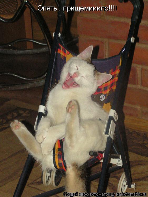 Котоматрица: Опять...прищемииило!!!!