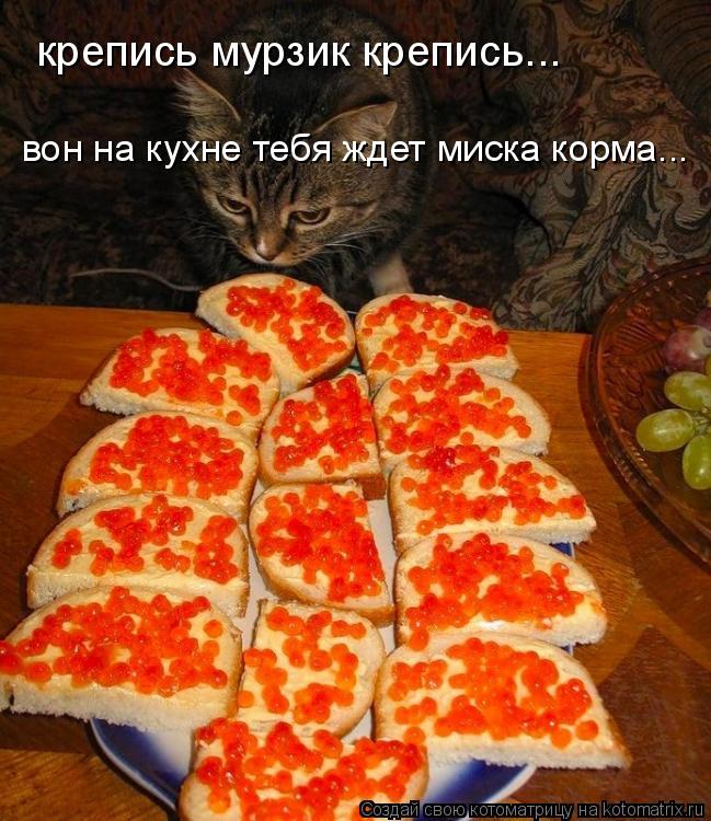 Котоматрица: крепись мурзик крепись... вон на кухне тебя ждет миска корма...