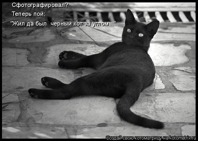 Котоматрица: "Жил да был  черный кот за углом..." Сфотографировал? Теперь пой: