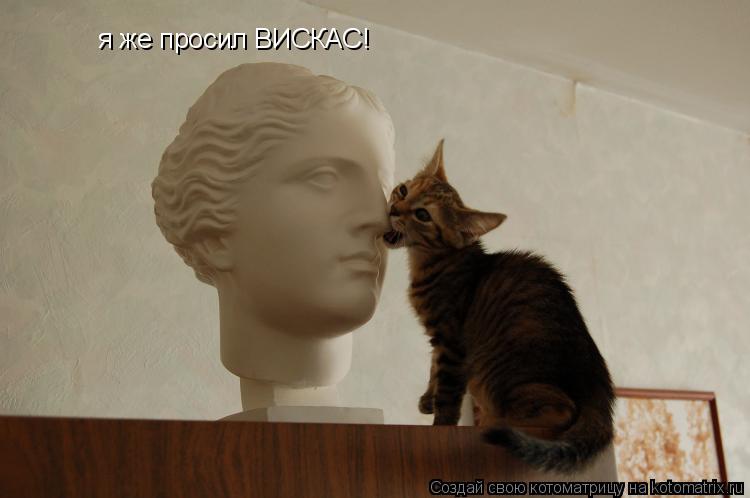 Котоматрица: я же просил ВИСКАС!
