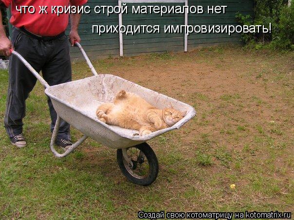 Котоматрица: что ж кризис строй материалов нет  приходится импровизировать!