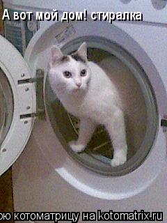 Котоматрица: А вот мой дом! стиралка