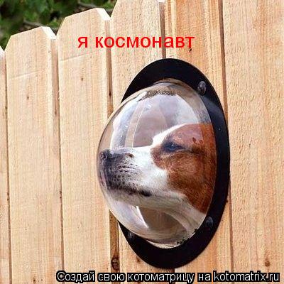 Котоматрица: я космонавт