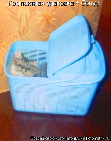 Котоматрица: Компактная упаковка + бонус