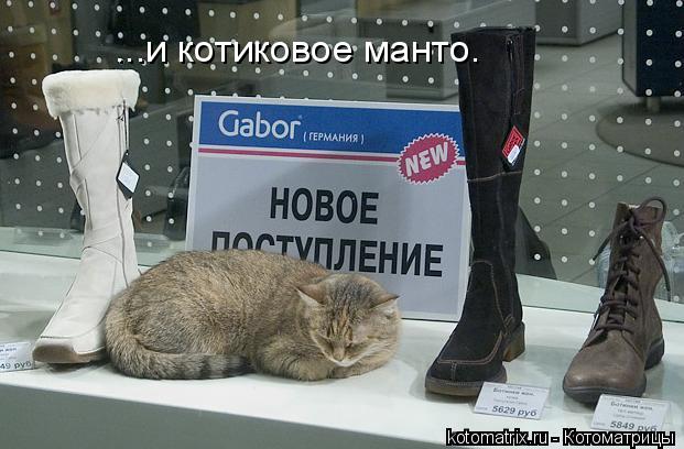 Котоматрица: ...и котиковое манто.