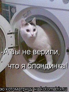 Котоматрица: -А вы не верили, что я блондинка!