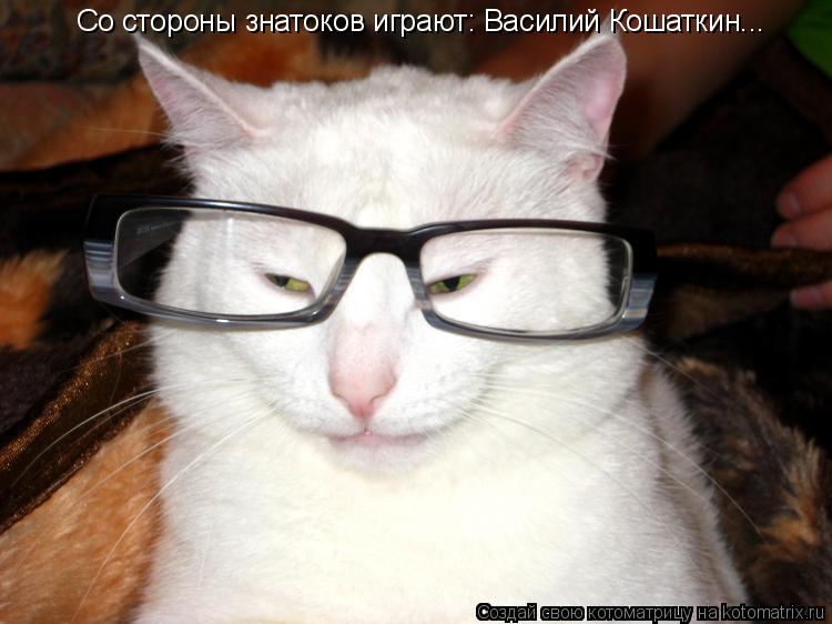 Котоматрица: Со стороны знатоков играют: Василий Кошаткин...
