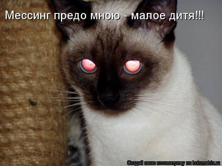Котоматрица: Мессинг предо мною - малое дитя!!!