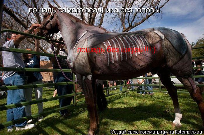 Котоматрица: лошадь самого всадника без головы лошадь без шкуры!!!:)