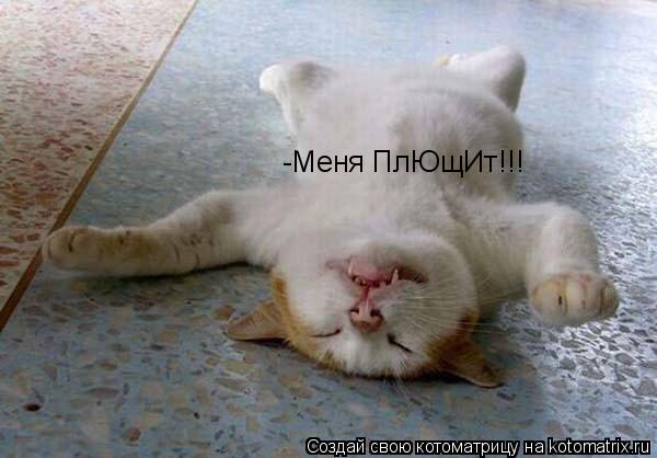 Котоматрица: -Меня ПлЮщИт!!!