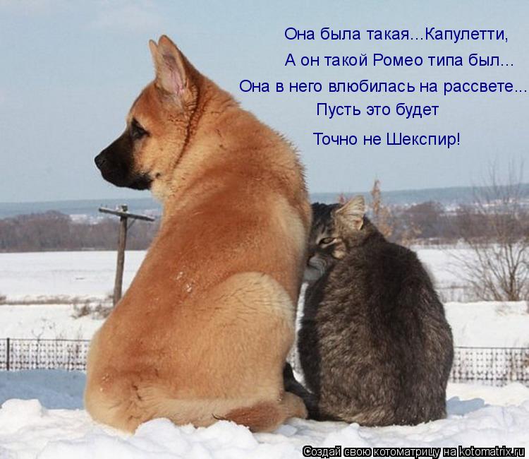 Котоматрица: Она была такая...Капулетти, А он такой Ромео типа был... Она в него влюбилась на рассвете... Пусть это будет  Точно не Шекспир!