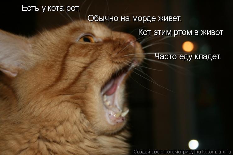 Котоматрица: Есть у кота рот,  Обычно на морде живет.  Кот этим ртом в живот  Часто еду кладет.