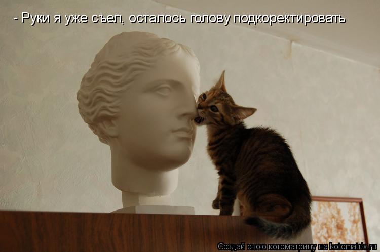 Котоматрица: - Руки я уже съел, осталось голову подкоректировать