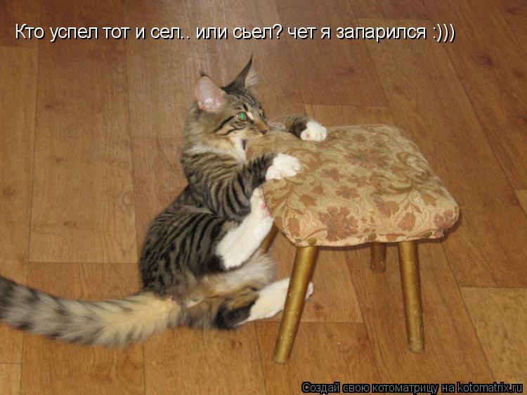 Кто успел тот и сел.. или сьел? чет я запарился :)))... Котоматрица: Кто успел тот и сел.. или сьел? чет я запарился :)))