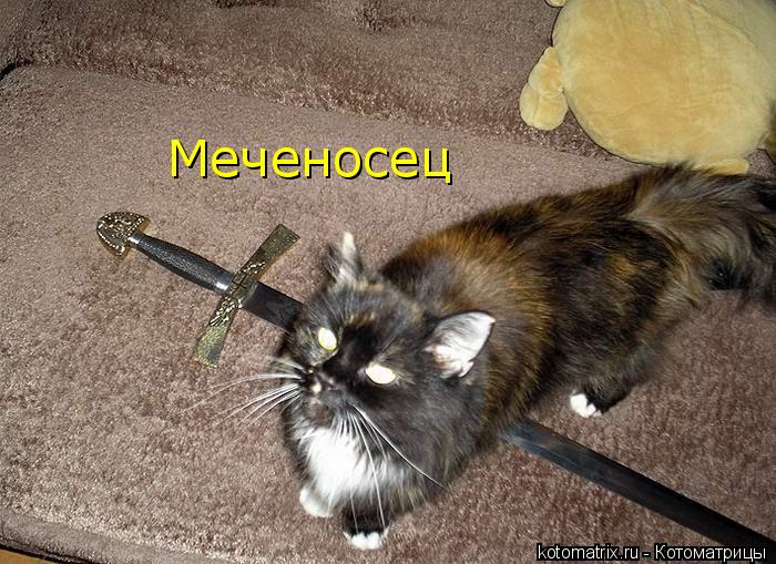 Котоматрица: Меченосец